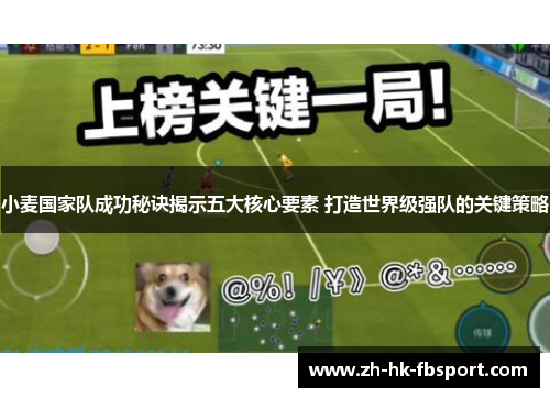 小麦国家队成功秘诀揭示五大核心要素 打造世界级强队的关键策略