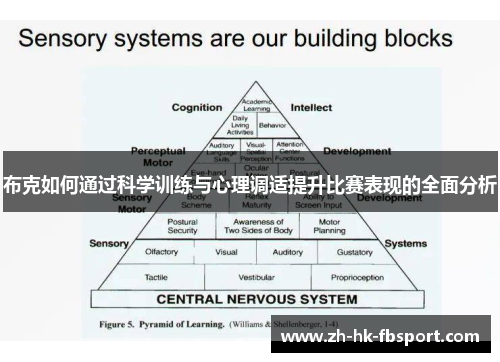 布克如何通过科学训练与心理调适提升比赛表现的全面分析 布克如何通过科学训练与心理调适提升比赛表现的全面分析