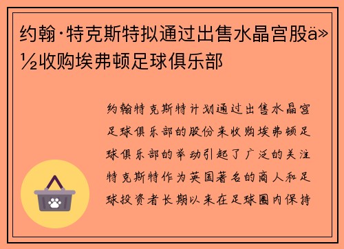 约翰·特克斯特拟通过出售水晶宫股份收购埃弗顿足球俱乐部